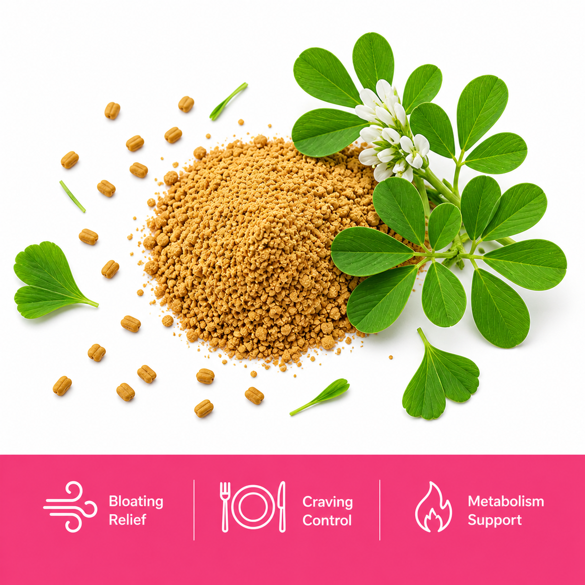 Fenugreek